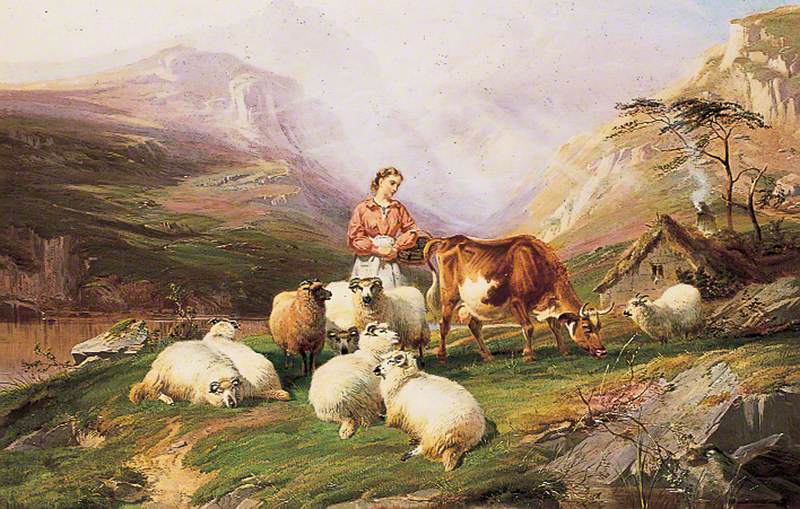 Cows and Sheep on a Mountain Pasture