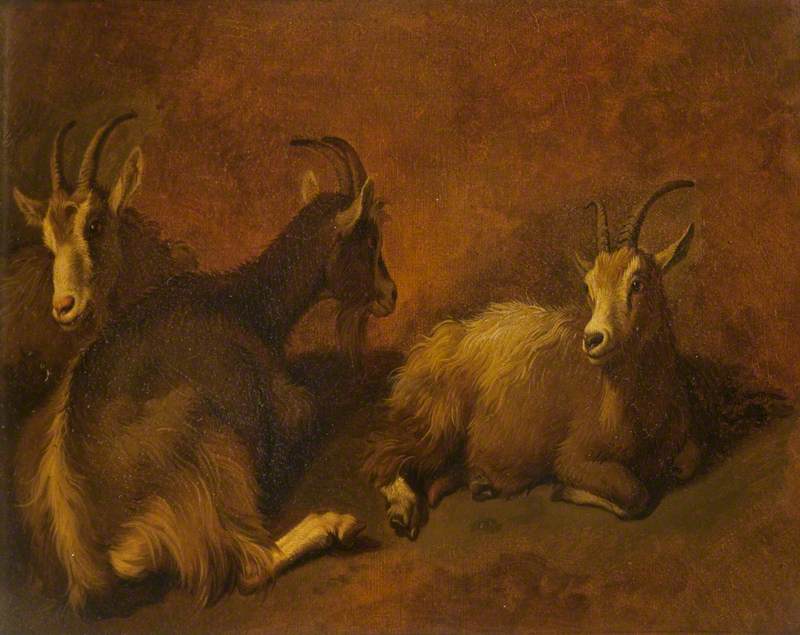 Goats