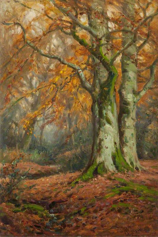 New Forest