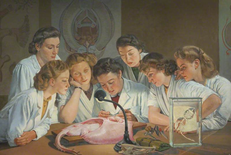 Demonstration in Dissection