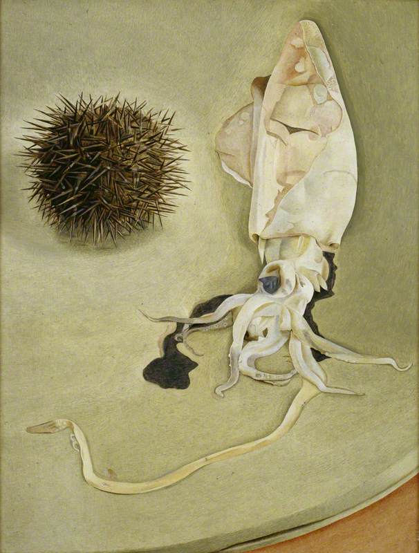 Still Life with Squid and Sea Urchin