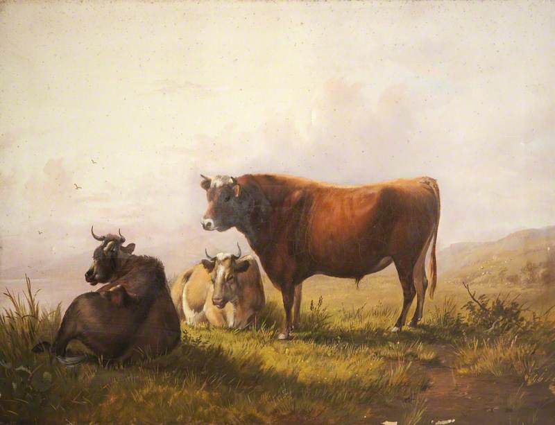 Study of Three Cows