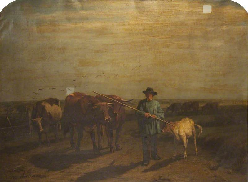 Cattle and Drover