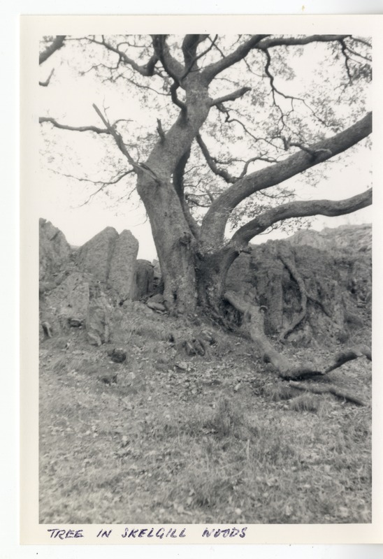Photographs - Crinkle Crags, Browney Ghyll