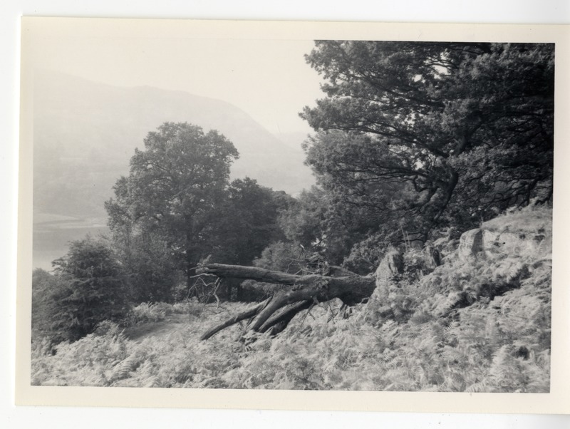 Photographs - Rydal 3