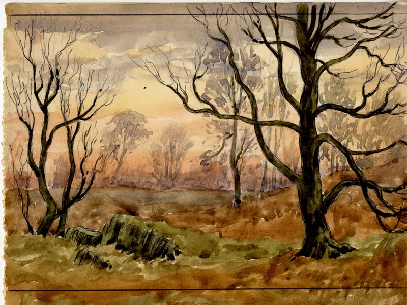 Bracken and Trees, Autumn