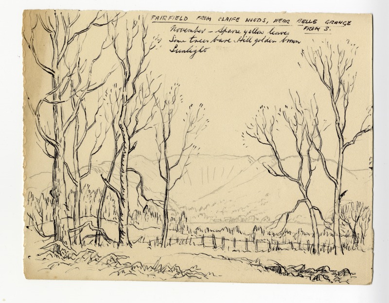 Fairfield from Claife Woods, Near Belle Grange from S.