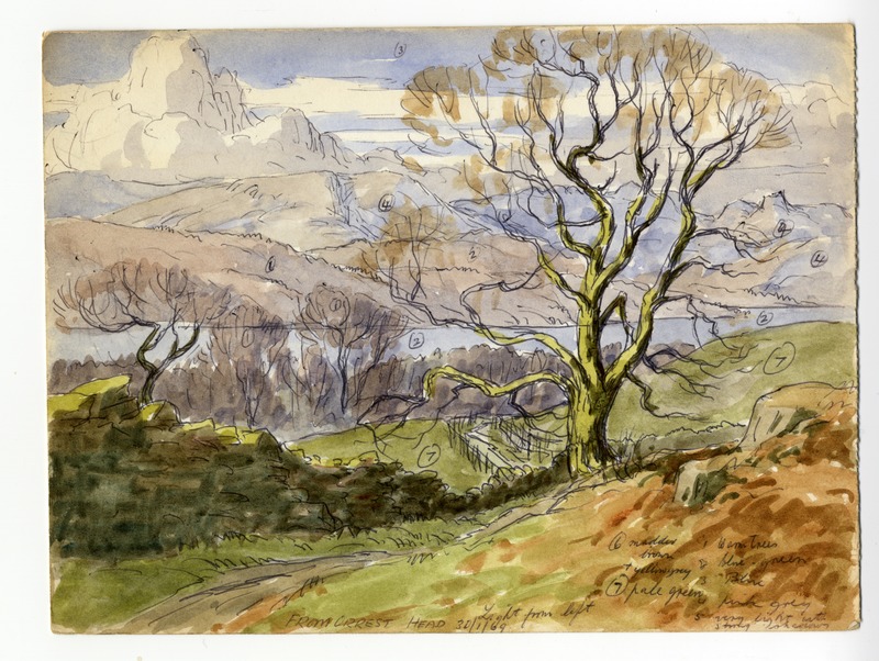 From Orrest Head