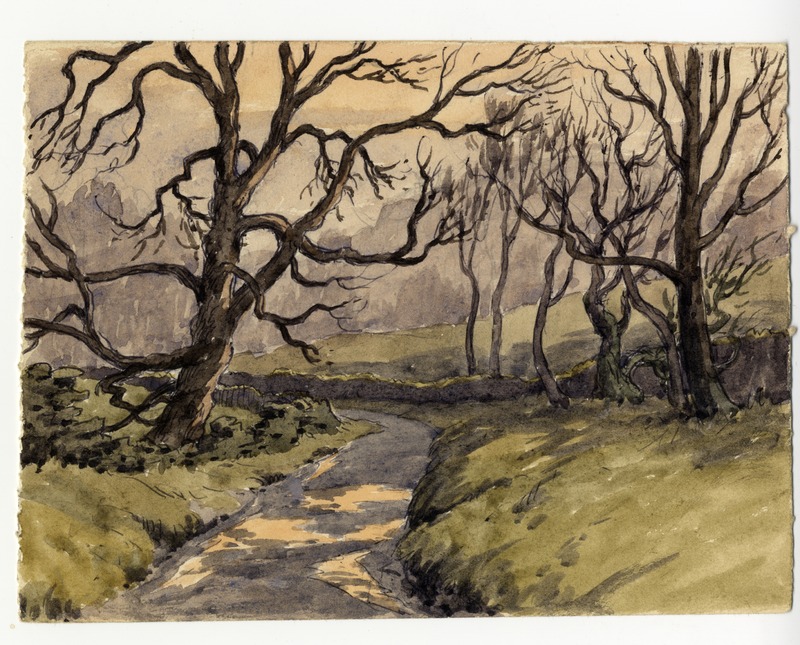 Path through fields with Trees, Winter