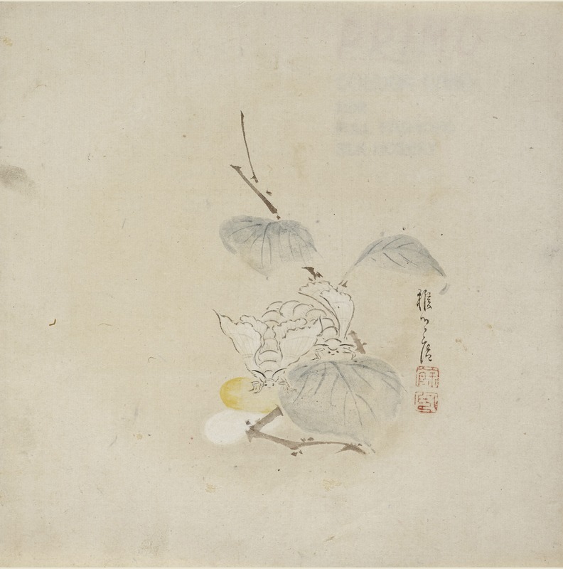 Two White Moths