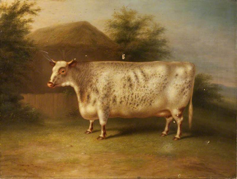 The rectangular cows of Art UK | Art UK