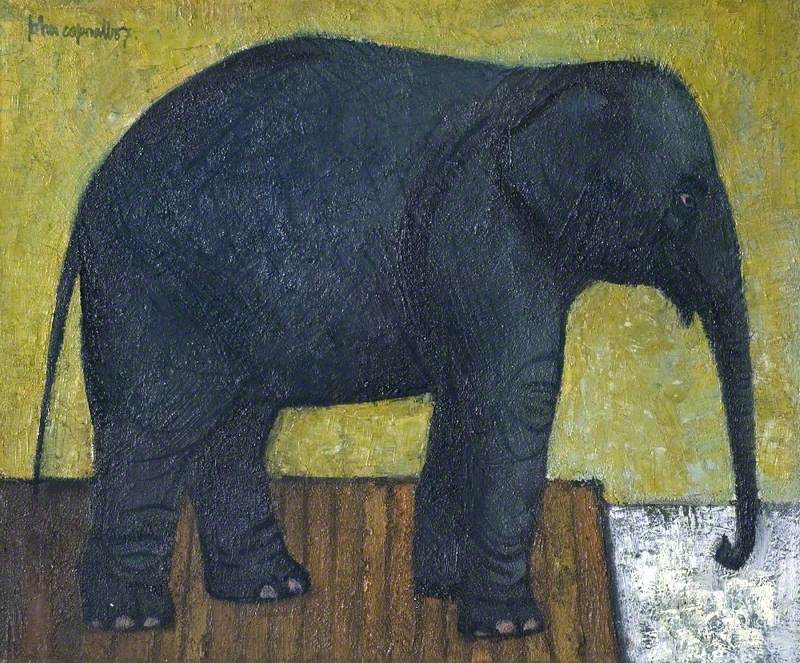 Elephant