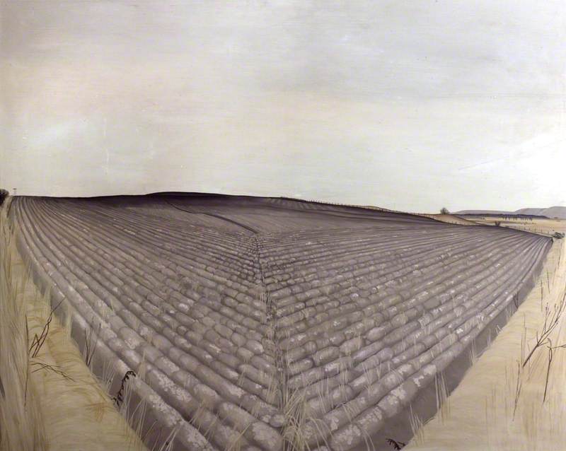 A Ploughed Field