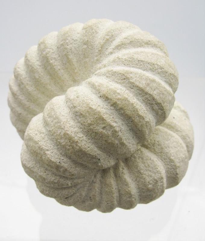 Fossil