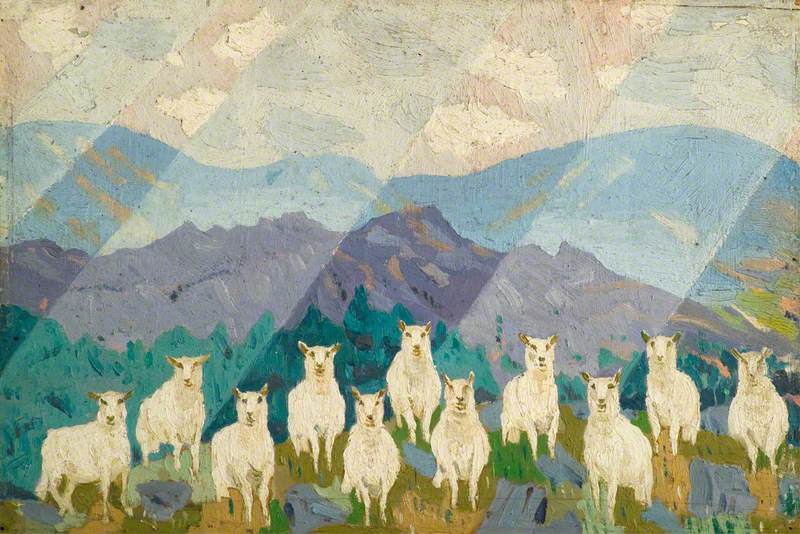 Sheep