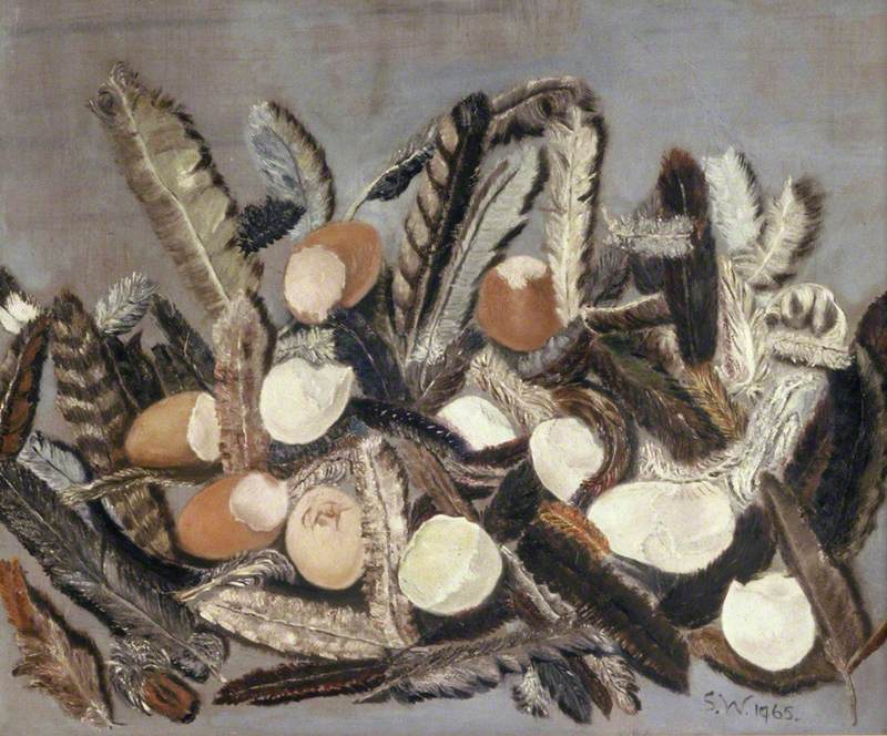 Feathers and Eggshells