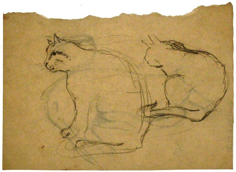 A Seated Cat*