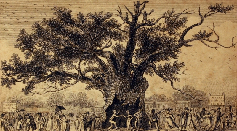 The Celebrated Great Oak with Fairlop Fair