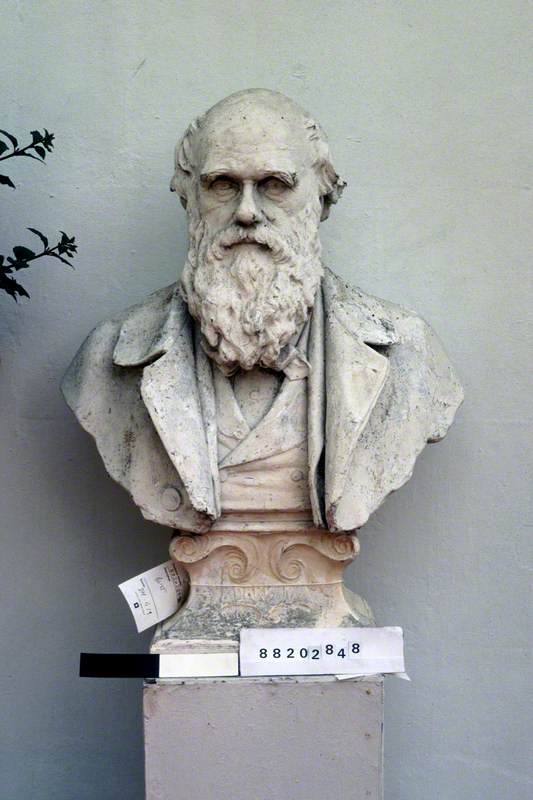 Charles Darwin (1809–1882)