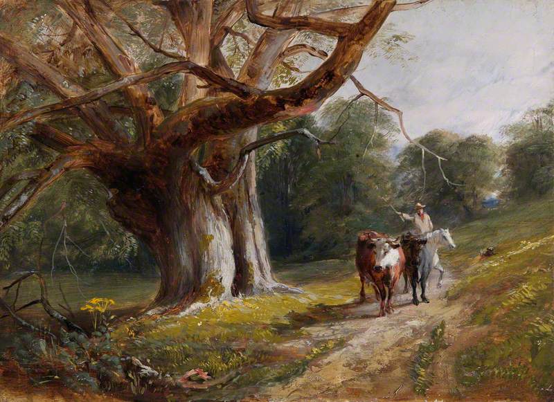 Woodland Scene with Cows