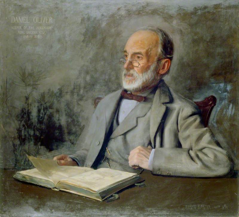 Daniel Oliver, Keeper of the Herbarium, Royal Gardens, Kew (1864–1890)