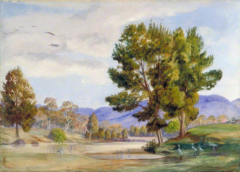 She Oak Trees on the Bendamere River, Queensland, and Companion Birds