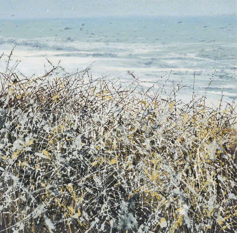 Sea Hedge with Lichen