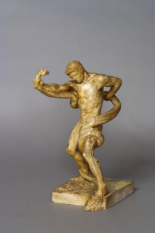 Model of an Athlete Wrestling with a Python