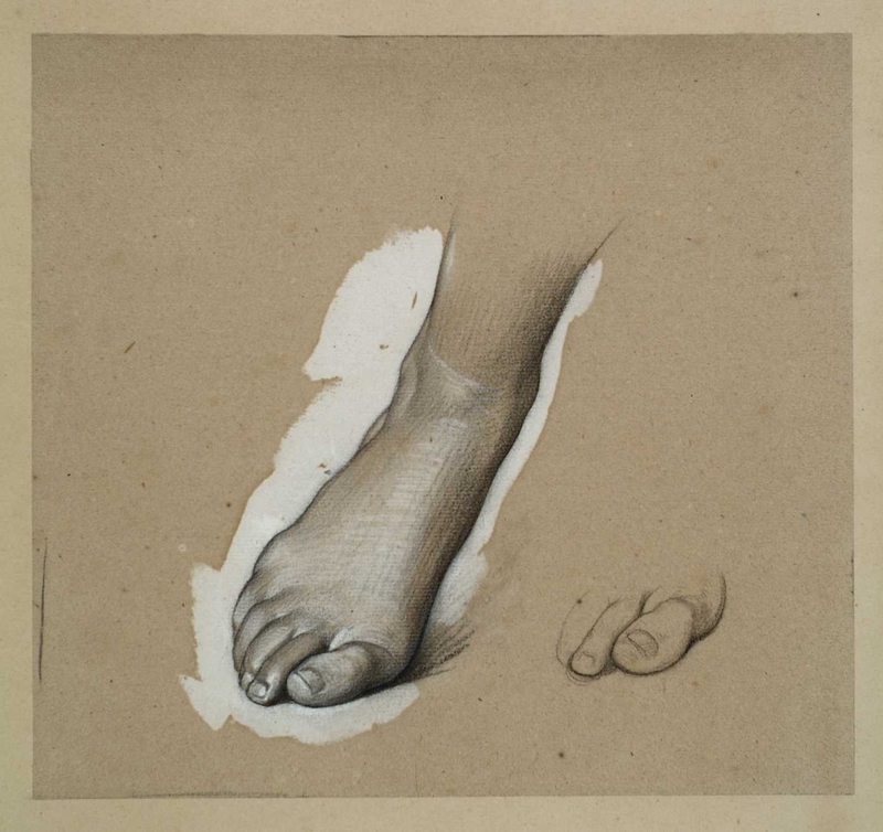 Studies of a Foot and Toes