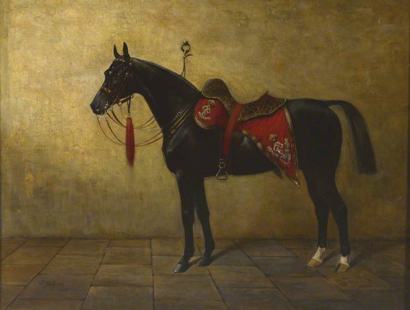 'Black Prince'