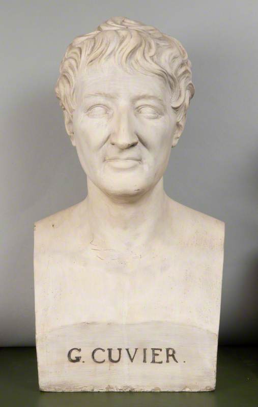 Georges Cuvier (1769–1832)