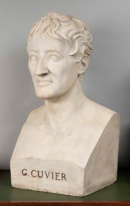 Georges Cuvier (1769–1832)