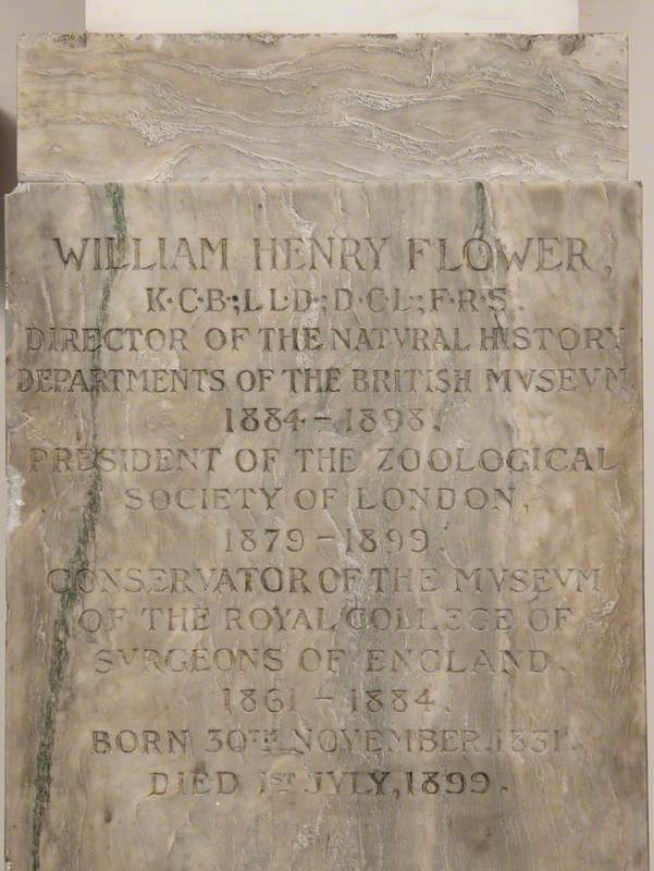 Sir William Henry Flower (1831–1899), KCB
