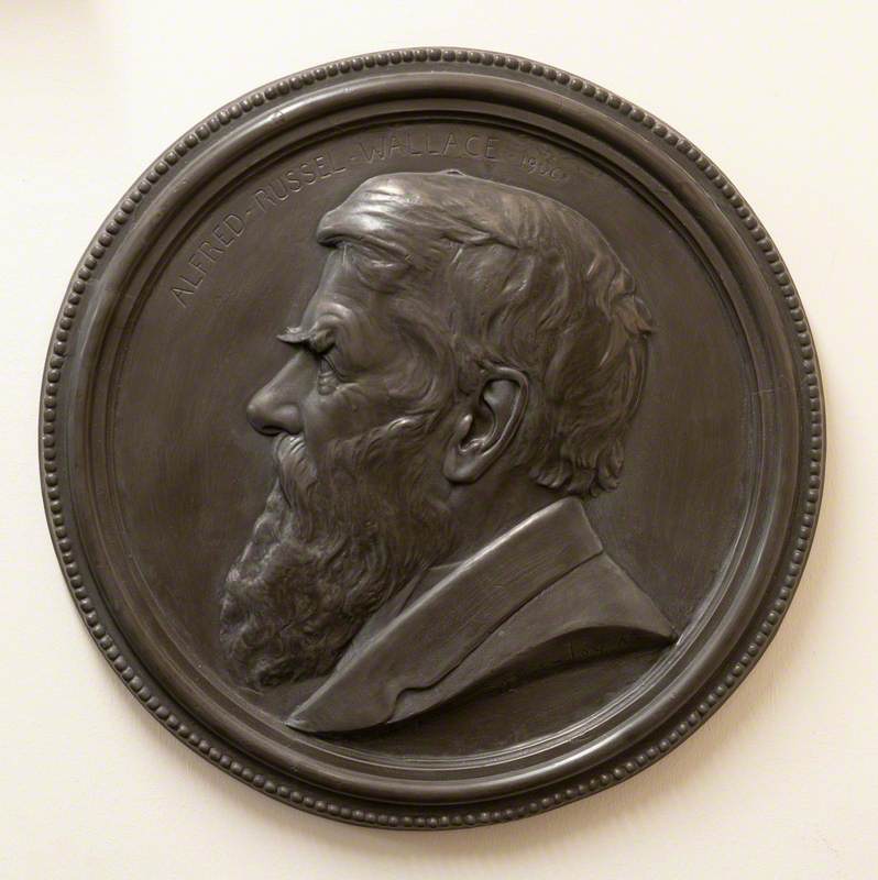 Alfred Russel Wallace (1823–1913)