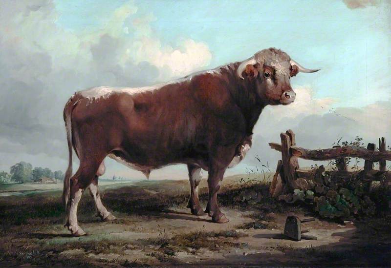 The Staffordshire Bull