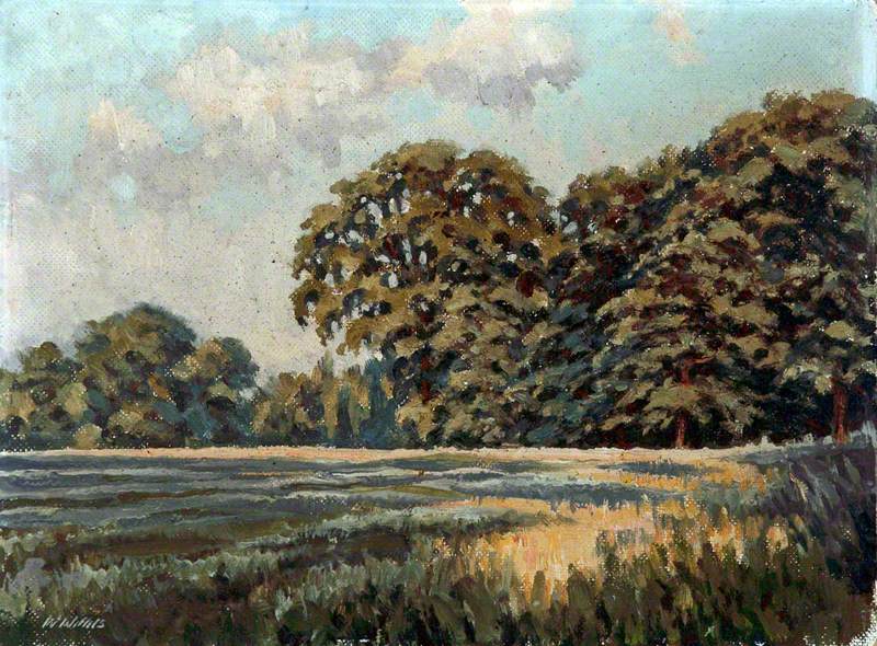 Meadow and Trees near Dibbinsdale, Wirral