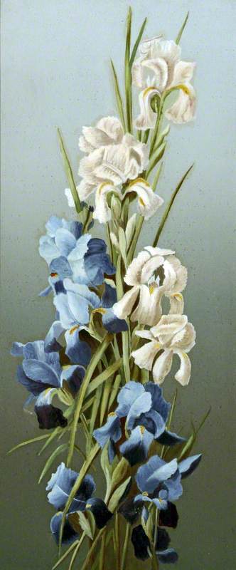Flowers (Irises)