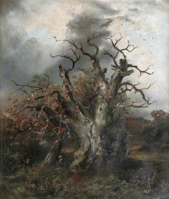 Glendower's Oak