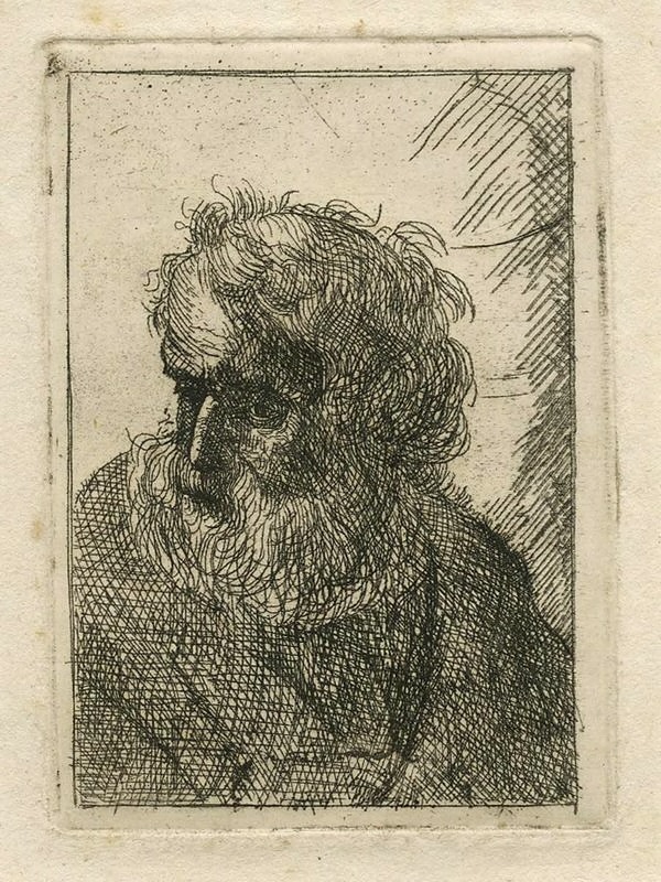 Head of an old, bearded man, after Rembrandt