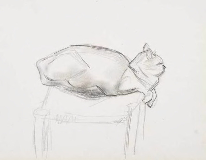 The Cat, Palestine