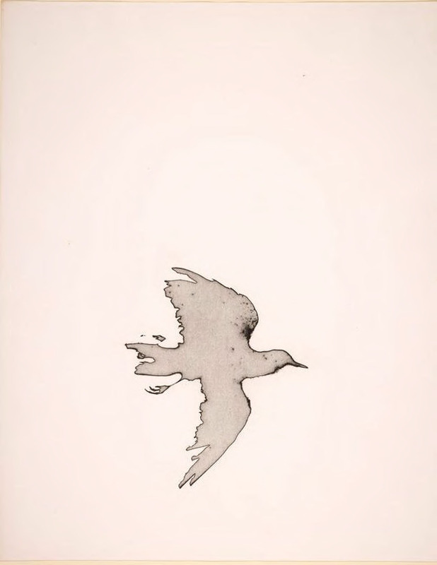 Prelude to 1000 Temporary Objects of Our Times (Blackbird 2), 25 August