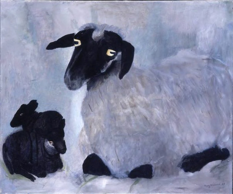 Suffolk Clun cross Ewe with two lambs