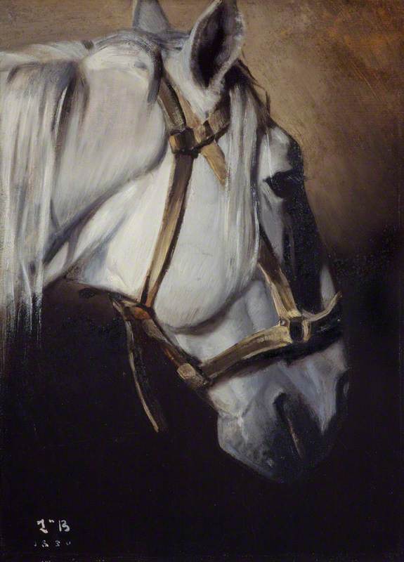Tête du cheval blanc (Head of a White Horse)