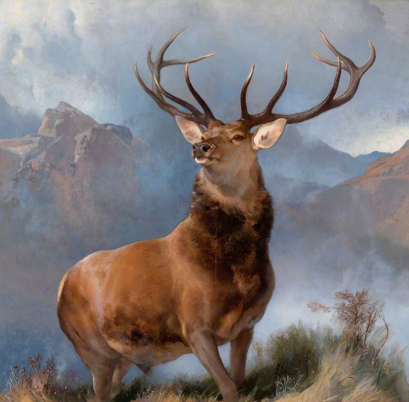 The Monarch of the Glen