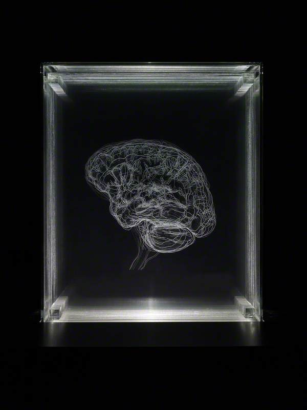 Brain of the Artist