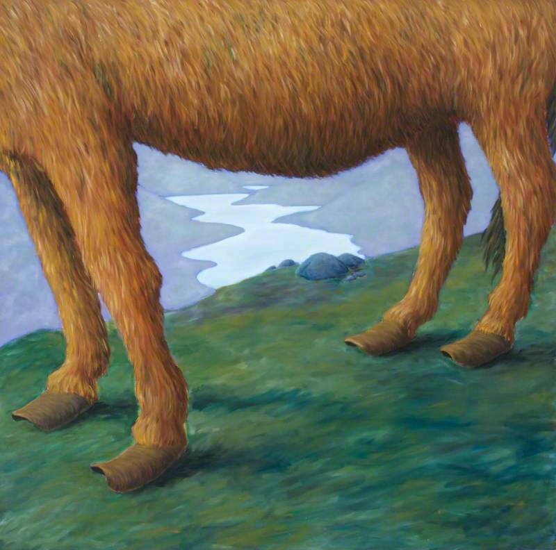 Henry's Dawn (Landscape with Donkey's Feet)