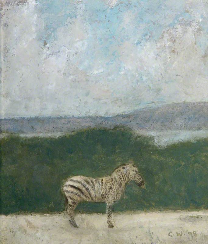 Zebra on Cavehill