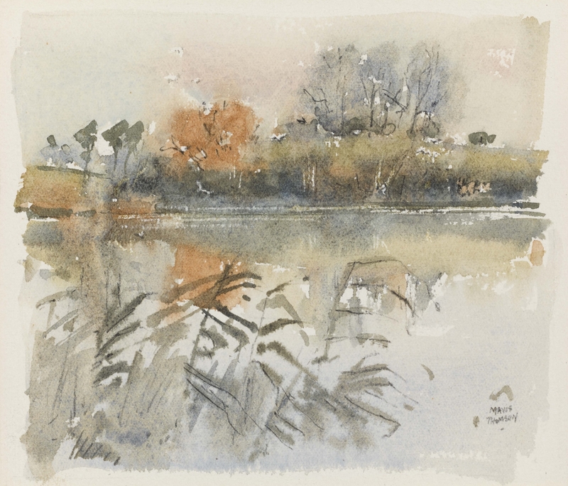 Birds over Lough Coole