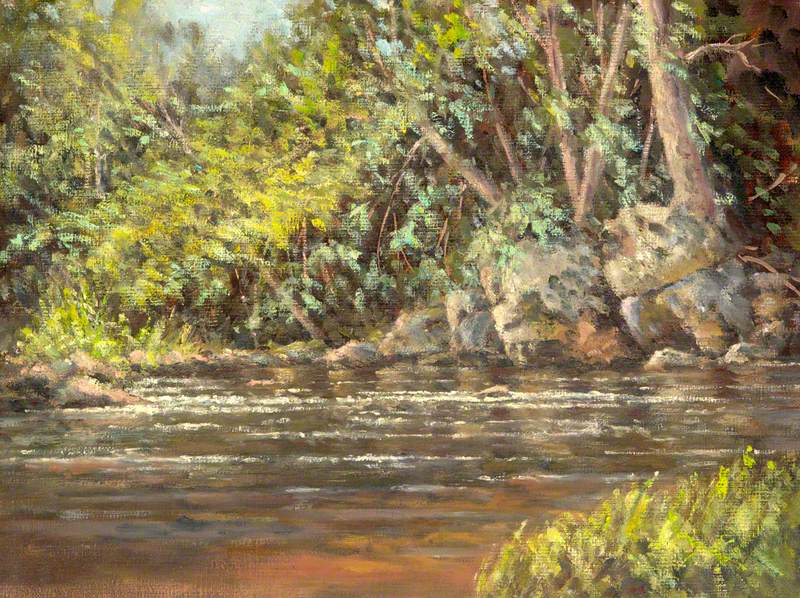 The Trout Stream (River Maine – Cullybackey)