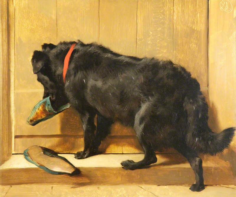 A Dog with a Slipper